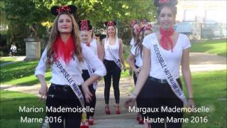 Candidates De Mademoiselle Marne 2017 Et Mademoiselle Haute Marne 2017
