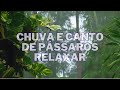 Chuva e trovões - canto de passaros perfeito  aliviar ansiendade e acalmar a mente e dormir rápido 💤