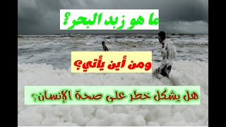 ما هو زبد البحر؟ ومن أين يأتي؟ معلومة ستدهشك..?