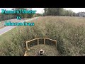 Mowing Overgrown Johnson Grass With The Diamond Mower