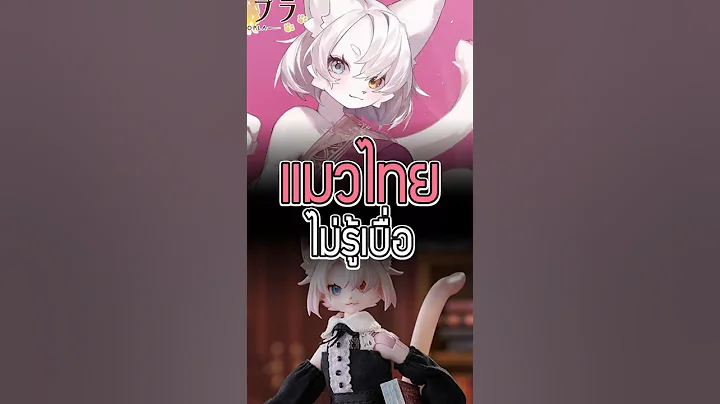 Video 11837351: furry animals, thai cat, white cat