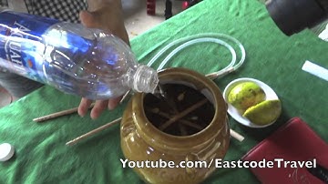 Rượu cần Vietnamese famous jar wine  Pleiku    Gia Lai