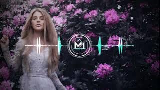 Humne Tumko Dil Ye De Diya Remix ×××××××××××× | Old Hindi Remix Song | Mixing i