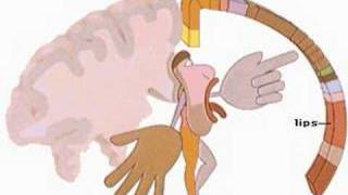 How the Body Works brain and thinking