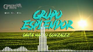 GRUPO ESPLENDOR /CANTA MARIO GONZALEZ /BASTA YA / 1993
