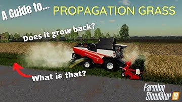 A Guide to... Propagation Grass on Farming Simulator 19 | FS19