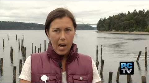 Toxic shellfish closes beaches