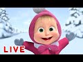 ماشا والدب 🌞LIVE STREAM!🤣 عالم ماشا  🎄 Masha and the Bear