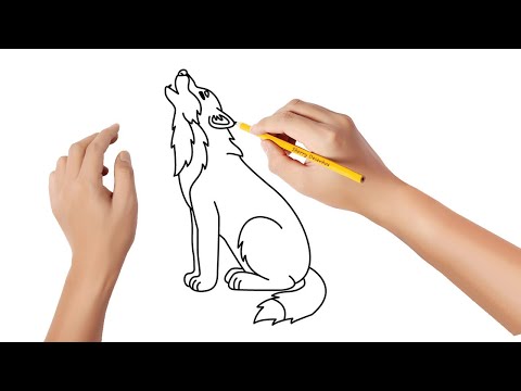 Vídeo: Como Desenhar Um Lobo Com Um Lápis