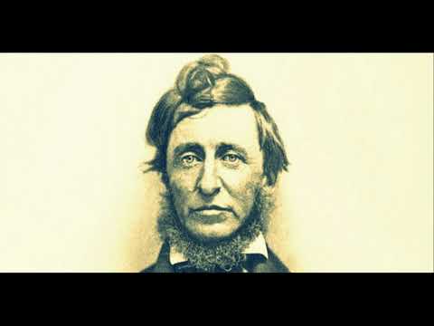 Video: Henry Thoreau: Biografi, Kreativitas, Karier, Kehidupan Pribadi