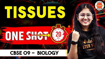 Class 9 Tissues One Shot Revision in 20 Minutes | Class 9th Biology | CBSE 2025