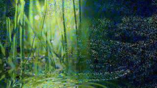 Marillion - Memory Of Water.wmv