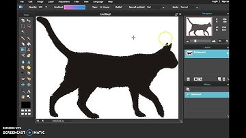 Pixlr Editor Tutorial: Glitter Cat