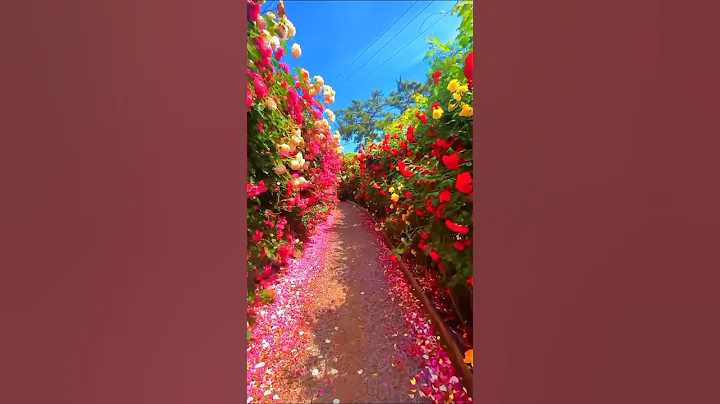 Stunning Blooms: A Journey Through Beautiful Flowers 🌸 #FlowerLovers #shorts