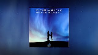 WildVibes & Arild Aas - Never Give Up Chill Mix
