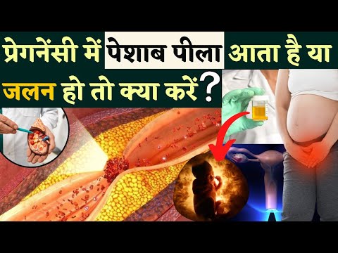 वीडियो: रॉयल पूडल क्या है?