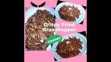 Crispy Fried Grasshopper (Tapuri or Apan-Apan)