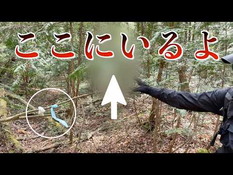 "Don't come here": The view a woman saw... A pair of glasses and a pink hair tie 5 meters up... D...
