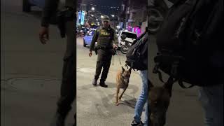 Policía intensifica controles en corredores viales y zonas comerciales de Guayabal.