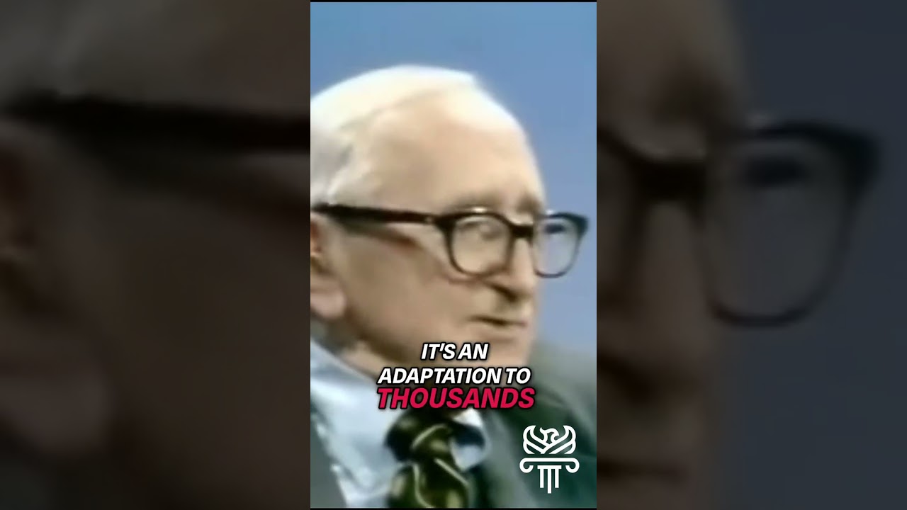 Фридрих Хайек: гений свободного рынка