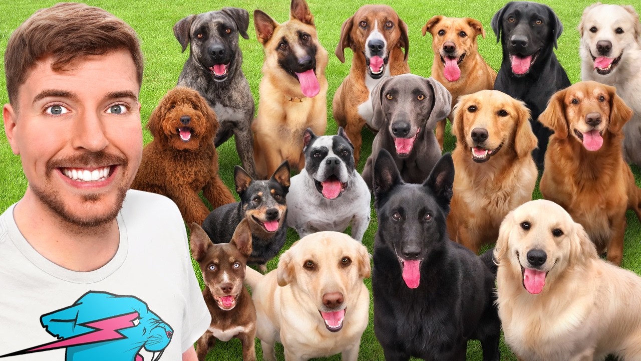 I Adopted EVERY Dog In A Dog Shelter YouTube