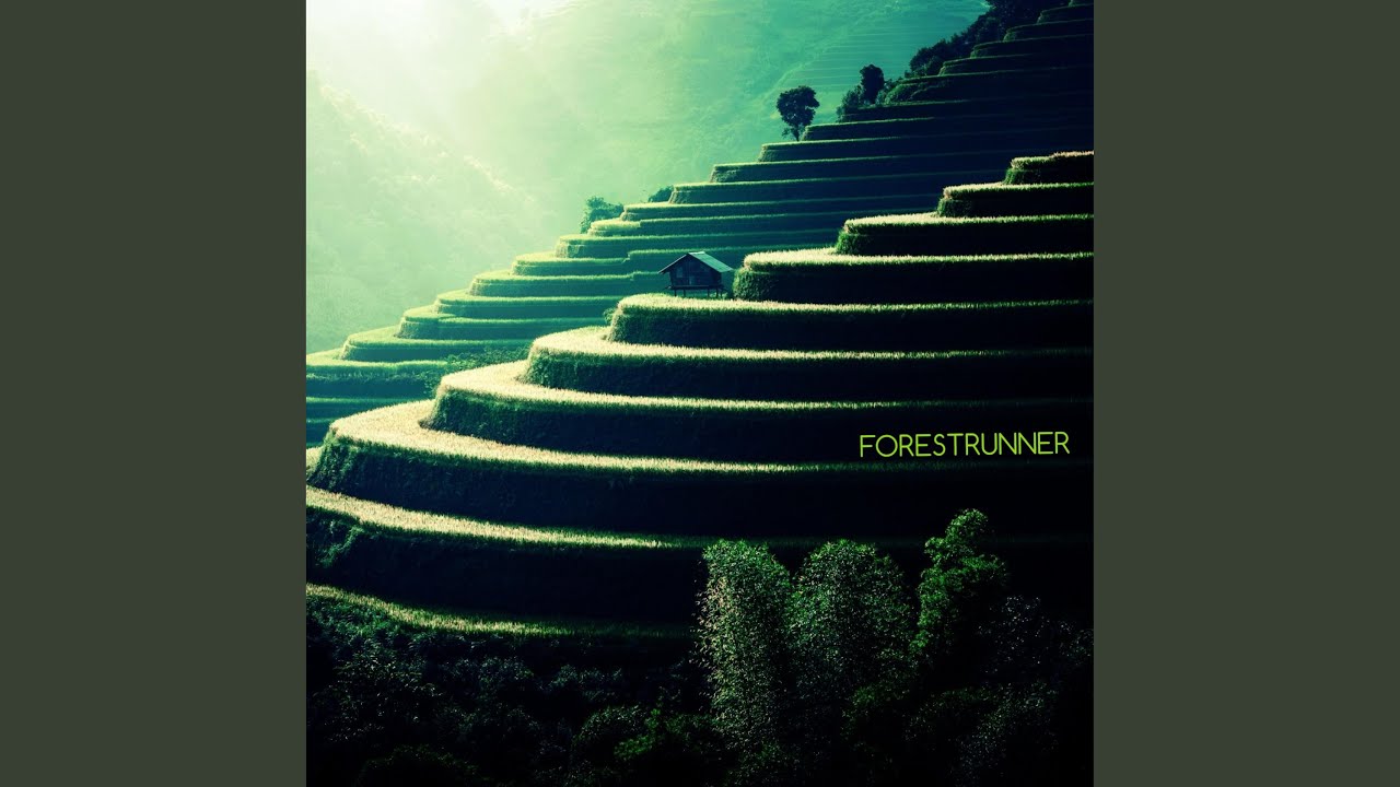 Watch FORESTRUNNER on YouTube Watch FORESTRUNNER on YouTube