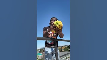 This Monkey is a Gangster 😩