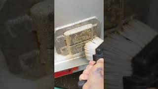 Boat Cleaning with Shield Solutions Aluminum Cleaner