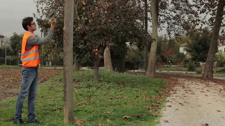 Utility Pole Testing with the CXI PT5500 Pole Tester