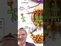 AI Science Slop!