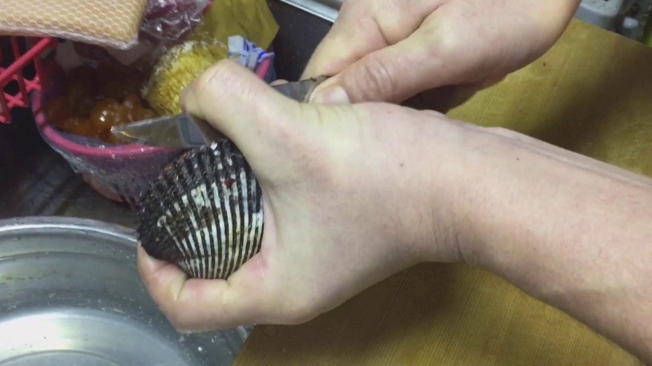 赤貝のさばき方 Youtube