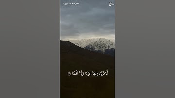 ﴿ويسألونك عَن الجبال فَقل ينسفها رَبِّي نسفا﴾ القارئ محمد ايوب