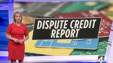 How to dispute your credit report