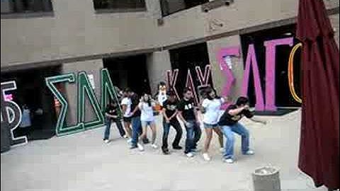 Alpha Psi Lambda - Pi Chapter Fall 2008