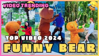 Collection of the most popular million-view teddy bear videos in 2024 l pippi bear troll #funnybear