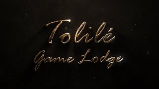 Tolile Game Lodge