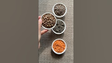 Different Types of Lentils