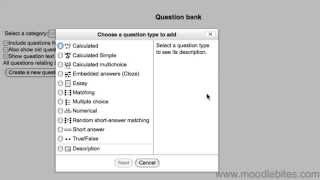 Quiz Questions Part 1 - Types and Categories