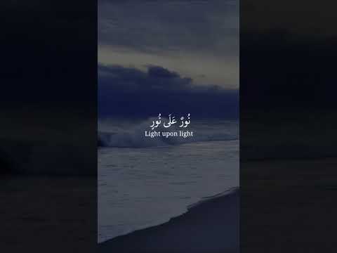 نور على نور القارئ شريف مصطفى 