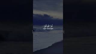 نور على نور - القارئ شريف مصطفى