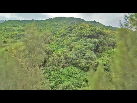 Treetops II :: Martian II 220 :: Betaflight 3.2.1 - Rain & gloom recently. Managed to get out for a quick session.