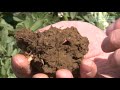 Techniques to Improve Soil Health - Learning From The Land