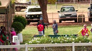 Charleville 2026 08 22 Race 4