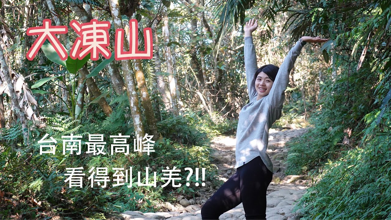 【關仔嶺大凍山】台南第一高峰 竟然能看到山羌！