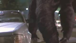 Mighty Joe Young ~ Joe smashes a car and climbs the Chinese building