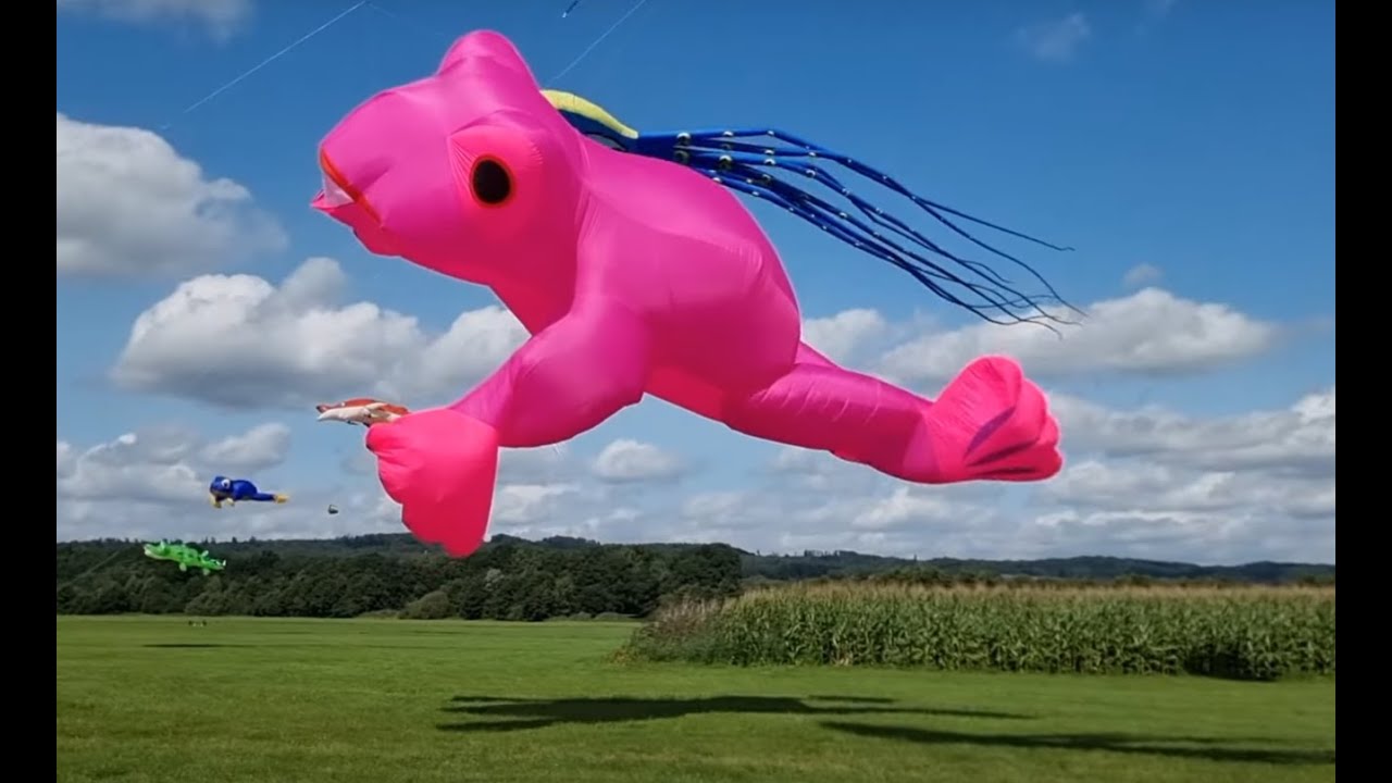 Drachenfest Melle 2023, Kite Festival Melle Germany 2023