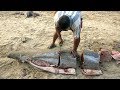 150 KG Fish Fastest Big Fish Cutting Bad Butcher Giant Fish cutting at Sea Market
