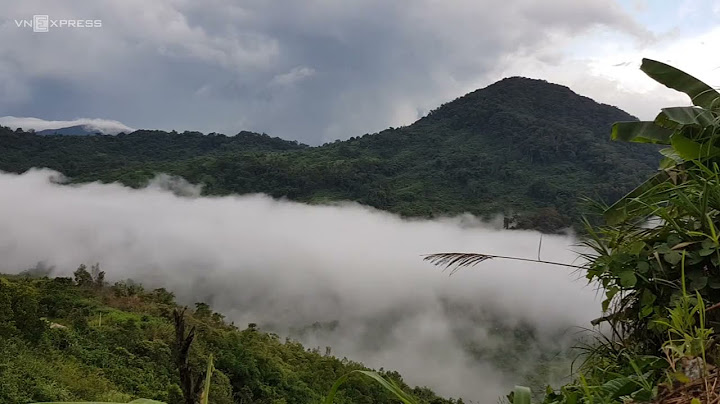 Đỉnh núi ngọc linh thuộc vùng núi nào năm 2024