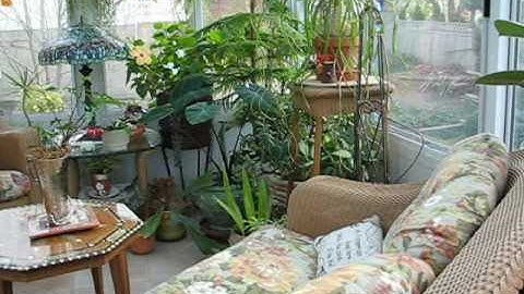 test divx good quality