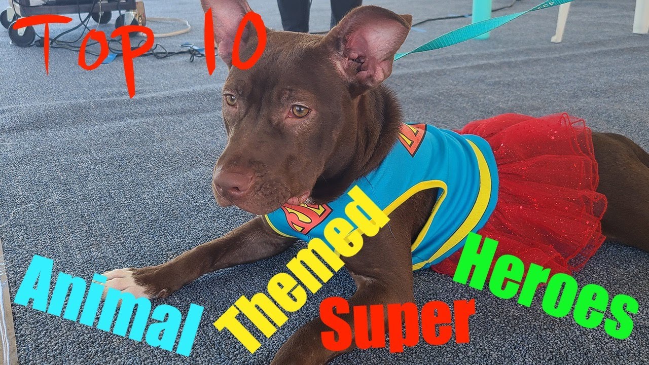 Top 10 Animal Themed Super Heroes YouTube